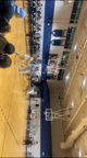 Video of 2023 Spotlight