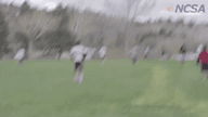 Video of 2016 Highlights
