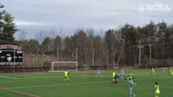 Video of 2024 Highlights