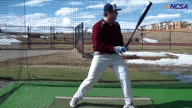 Video of February 2016