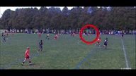 Video of 2024 Spotlight