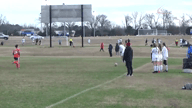 Video of 2019 Highlights