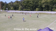 Video of 2024 Spotlight