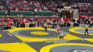 Video of 2024 Highlights