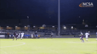 Video of 2020 Highlights