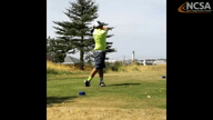 Video of January 2017