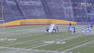 Video of 2019 Highlights