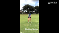 Video of August 2022