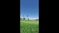 Video of August 2020 