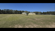 Video of 2021 Spotlight 