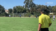 Video of 2019 Highlights