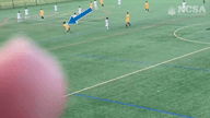 Video of 2023 Highlights