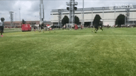 Video of 2023 Highlights