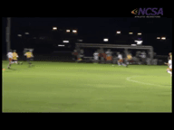 Video of 2013 Highlights