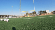 Video of 2020 Spotlight