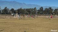 Video of 2023 Spotlight