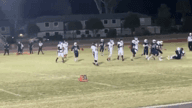 Video of 2022 Spotlight