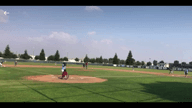 Video of 2024 Spotlight