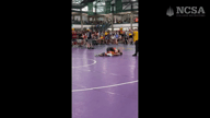 Video of 2024 Highlights