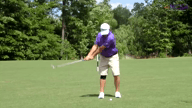 Video of June 2015