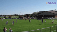 Video of 2015 Highlights #3