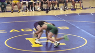 Video of 2020 Highlights