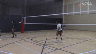 Video of Skills