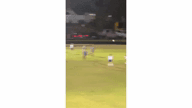 Video of 2020 Highlights