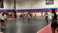 Video of 2019 Highlights