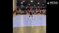 Video of 2023 Highlights