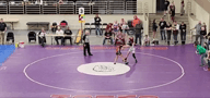 Video of 2024 Spotlight