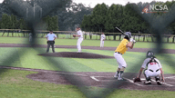 Video of 2020 Highlights