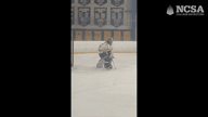Video of 2024 Highlights