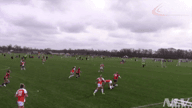 Video of 2020 Highlights