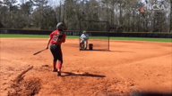 Video of February 2019