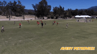 Video of 2022 Spotlight