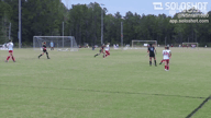 Video of 2024 Highlights