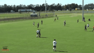 Video of 2018 Highlights