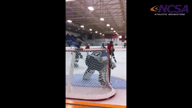 Video of 2015 Highlights