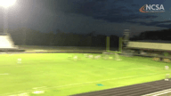 Video of 2020 Highlights	