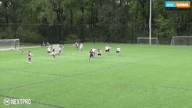 Video of Fall-Winter 2020 Highlights
