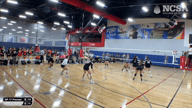 Video of 2023 Highlights