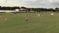 Video of 2020 Highlights
