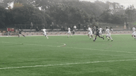 Video of 2024 Highlights #2
