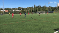 Video of 2020 Highlights