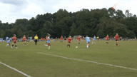 Video of 2020 Highlights #2