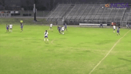 Video of 2016 Highlights