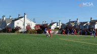 Video of 2020 Highlights
