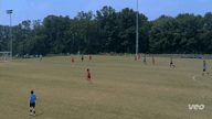 Video of 2024 Spotlight