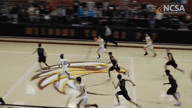 Video of 2017 Highlights